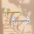 Piercing Téton Haendel