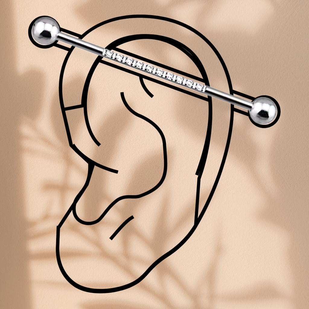 Piercing Industriel Matisse